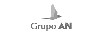 Logo Grupo AN